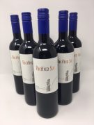 Pacifico Sur Merlot 6 x 75cl product image