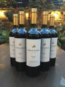 Inacayal Malbec 6x75cl product image